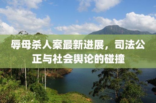辱母殺人案最新進(jìn)展，司法公正與社會(huì)輿論的碰撞