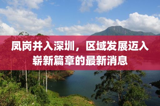 鳳崗并入深圳，區(qū)域發(fā)展邁入嶄新篇章的最新消息