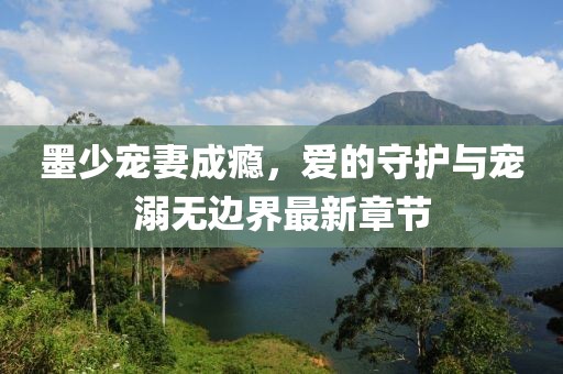 墨少寵妻成癮，愛(ài)的守護(hù)與寵溺無(wú)邊界最新章節(jié)