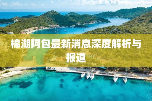 棉湖阿包最新消息深度解析與報道