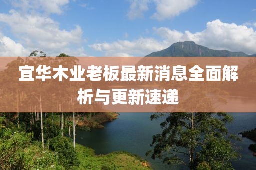 宜華木業(yè)老板最新消息全面解析與更新速遞