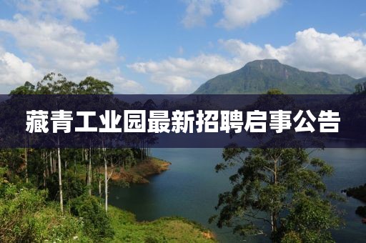 藏青工業(yè)園最新招聘啟事公告