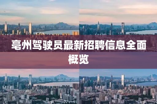 亳州駕駛員最新招聘信息全面概覽