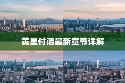 黃星付潔最新章節(jié)詳解