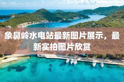 2024年11月 第81頁