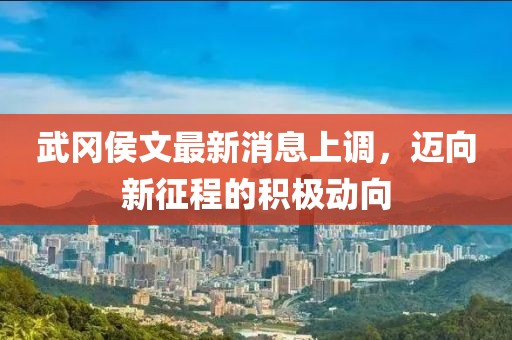 武岡侯文最新消息上調(diào)，邁向新征程的積極動(dòng)向