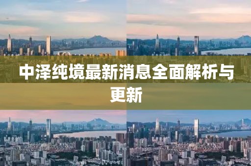 中澤純境最新消息全面解析與更新