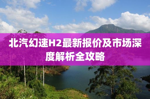 北汽幻速H2最新報(bào)價(jià)及市場(chǎng)深度解析全攻略