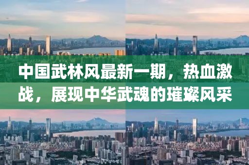 中國武林風最新一期，熱血激戰(zhàn)，展現(xiàn)中華武魂的璀璨風采