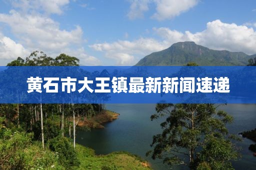 黃石市大王鎮(zhèn)最新新聞速遞