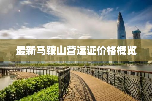 最新馬鞍山營(yíng)運(yùn)證價(jià)格概覽