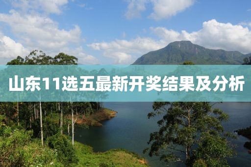 山東11選五最新開獎結(jié)果及分析
