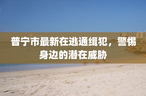 普寧市最新在逃通緝犯，警惕身邊的潛在威脅