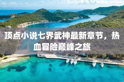 頂點(diǎn)小說七界武神最新章節(jié)，熱血冒險巔峰之旅