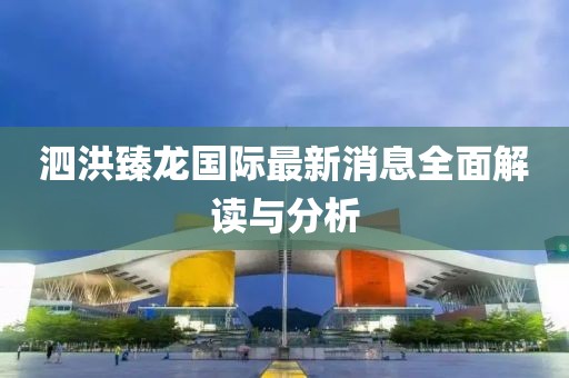 泗洪臻龍國際最新消息全面解讀與分析