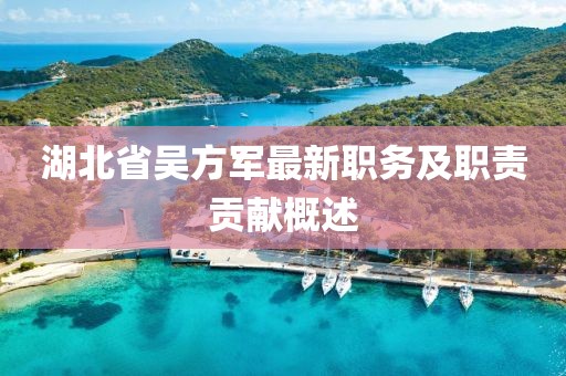 湖北省吳方軍最新職務(wù)及職責(zé)貢獻(xiàn)概述