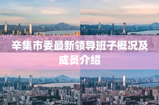 辛集市委最新領(lǐng)導(dǎo)班子概況及成員介紹