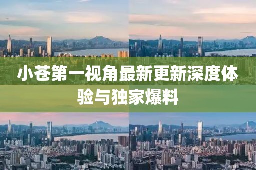 小蒼第一視角最新更新深度體驗(yàn)與獨(dú)家爆料