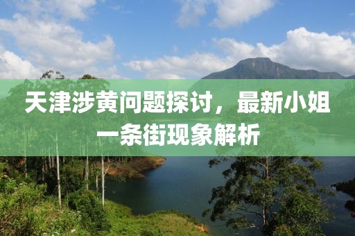 天津涉黃問題探討，最新小姐一條街現(xiàn)象解析