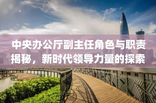 中央辦公廳副主任角色與職責揭秘，新時代領導力量的探索