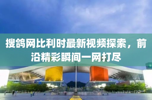 搜鴿網比利時最新視頻探索，前沿精彩瞬間一網打盡