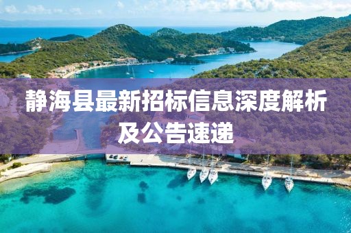 靜海縣最新招標信息深度解析及公告速遞