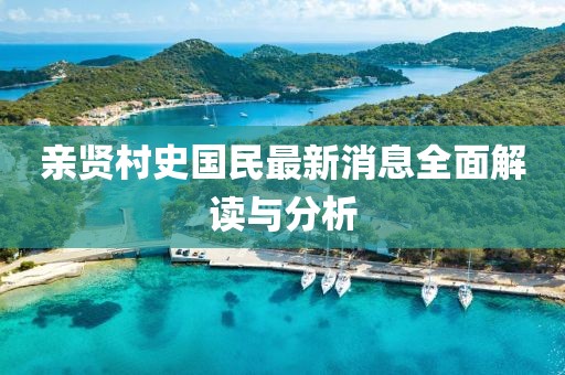 親賢村史國(guó)民最新消息全面解讀與分析