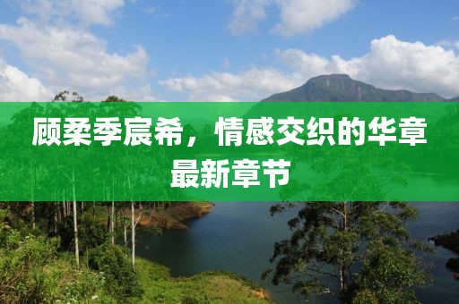 顧柔季宸希，情感交織的華章最新章節(jié)