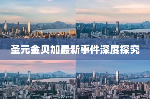 圣元金貝加最新事件深度探究