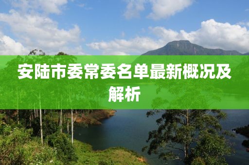 安陸市委常委名單最新概況及解析