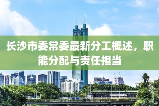 長沙市委常委最新分工概述，職能分配與責任擔當