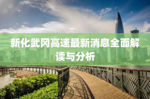 新化武岡高速最新消息全面解讀與分析