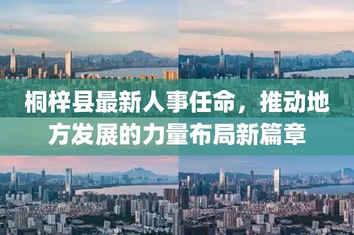桐梓縣最新人事任命，推動(dòng)地方發(fā)展的力量布局新篇章