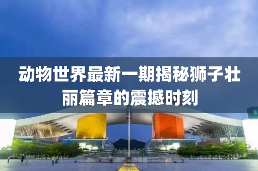 動物世界最新一期揭秘獅子壯麗篇章的震撼時刻