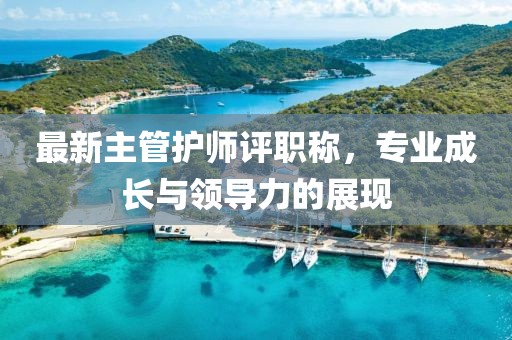 最新主管護(hù)師評職稱，專業(yè)成長與領(lǐng)導(dǎo)力的展現(xiàn)