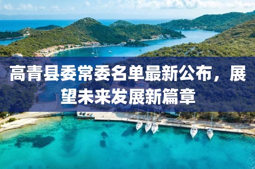 高青縣委常委名單最新公布，展望未來發(fā)展新篇章