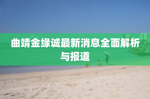 曲靖金緣誠最新消息全面解析與報道