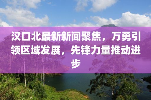 漢口北最新新聞聚焦，萬勇引領(lǐng)區(qū)域發(fā)展，先鋒力量推動進步