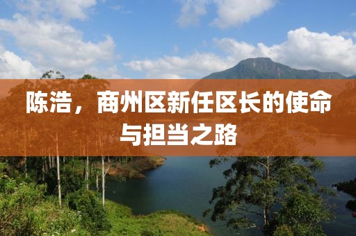 陳浩，商州區(qū)新任區(qū)長的使命與擔(dān)當(dāng)之路