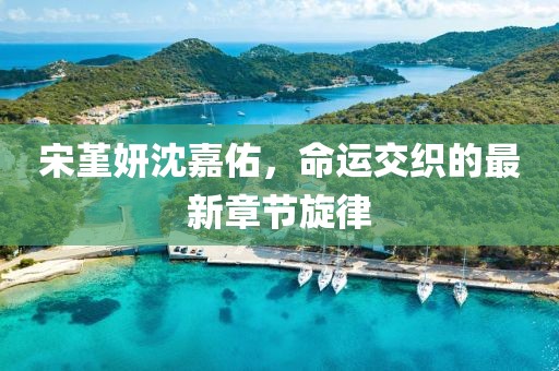 宋堇妍沈嘉佑，命運(yùn)交織的最新章節(jié)旋律