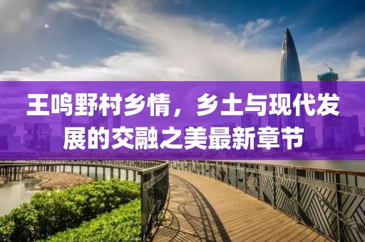 王鳴野村鄉(xiāng)情，鄉(xiāng)土與現(xiàn)代發(fā)展的交融之美最新章節(jié)