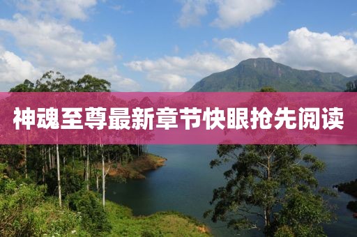 神魂至尊最新章節(jié)快眼搶先閱讀