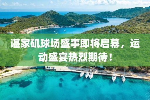 諶家磯球場盛事即將啟幕，運動盛宴熱烈期待！