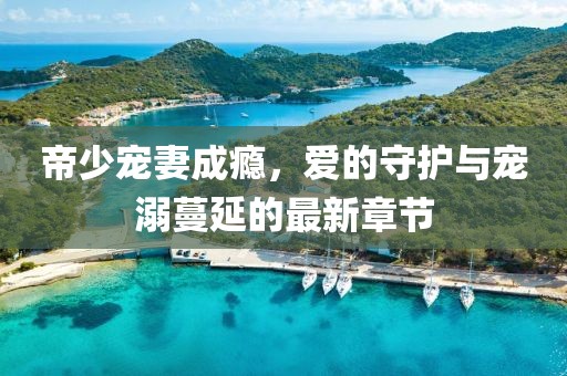 帝少寵妻成癮，愛的守護(hù)與寵溺蔓延的最新章節(jié)