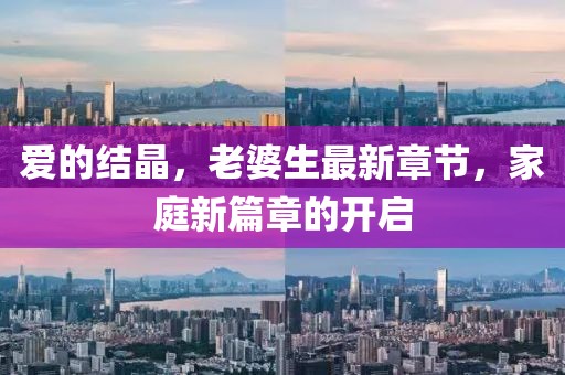 愛的結(jié)晶，老婆生最新章節(jié)，家庭新篇章的開啟
