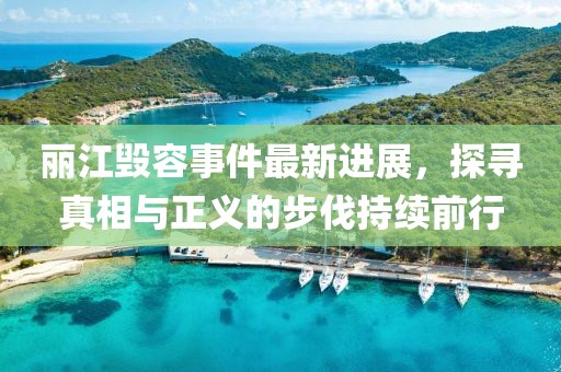 麗江毀容事件最新進展，探尋真相與正義的步伐持續(xù)前行