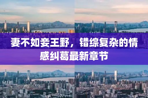 妻不如妾王野，錯綜復雜的情感糾葛最新章節(jié)