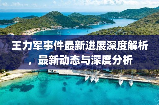 王力軍事件最新進展深度解析，最新動態(tài)與深度分析
