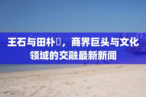 王石與田樸琤，商界巨頭與文化領(lǐng)域的交融最新新聞