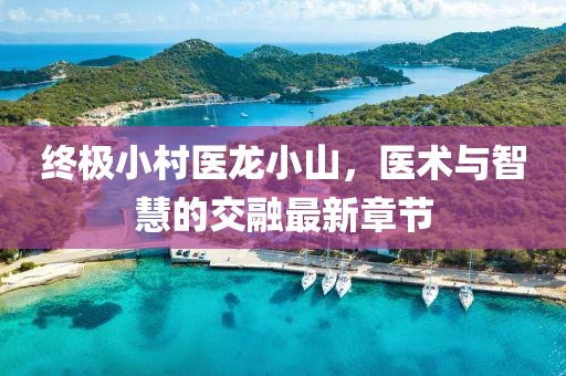 終極小村醫(yī)龍小山，醫(yī)術(shù)與智慧的交融最新章節(jié)